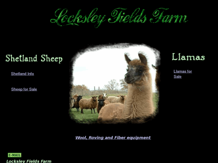 www.shetland-sheep.com