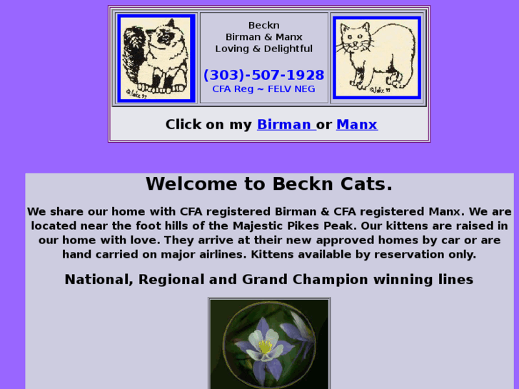 www.beckncats.com
