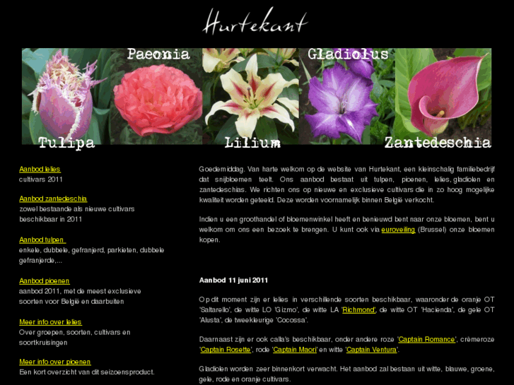 www.hurtekant.com