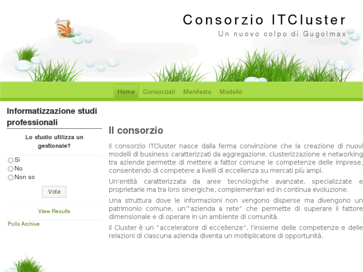 www.itcluster.org