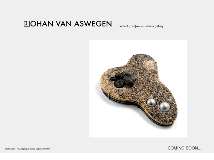 www.johanvanaswegen.com