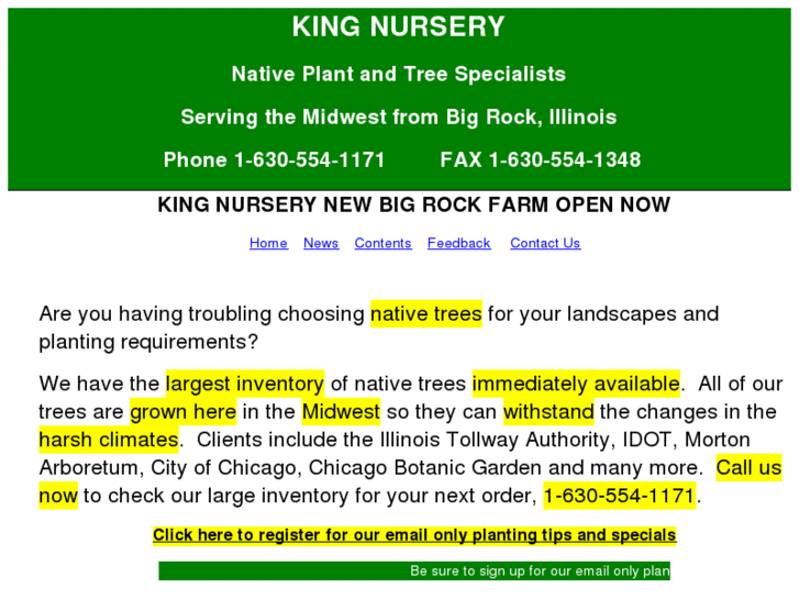 www.kingnurseryonline.com
