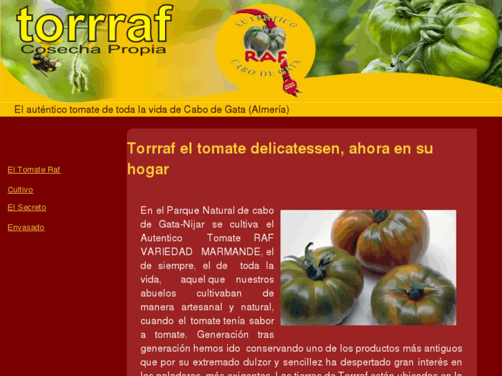 www.torrraf.es