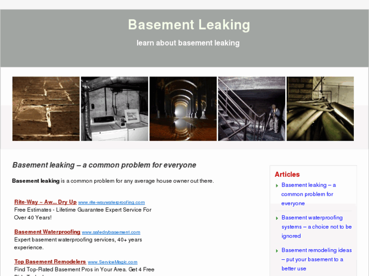 www.basementleaking.net