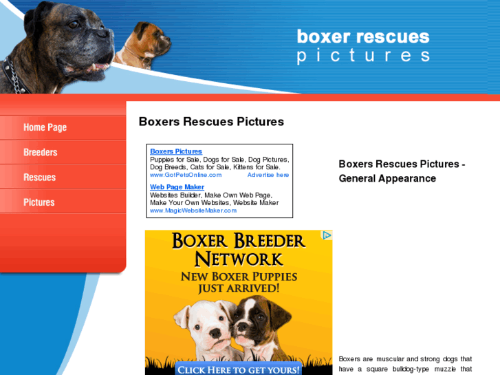 www.boxer-rescues-pictures.com