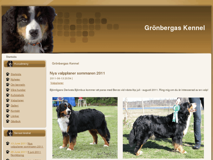 www.gronbergaskennel.com