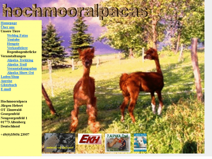 www.hochmooralpaca.com