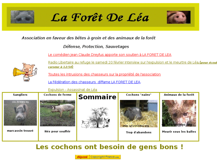 www.laforetdelea.org