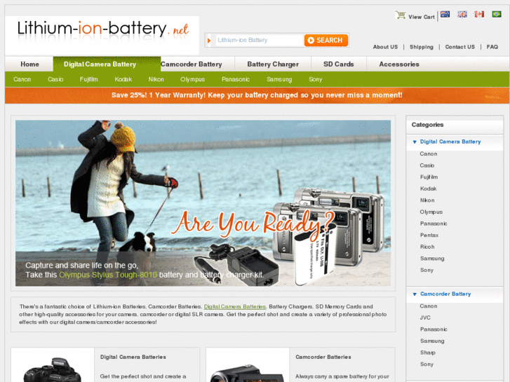 www.lithium-ion-battery.net