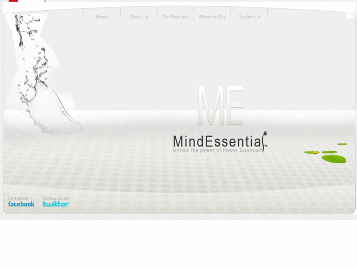 www.mindessential.com