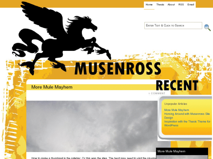 www.musenross.com