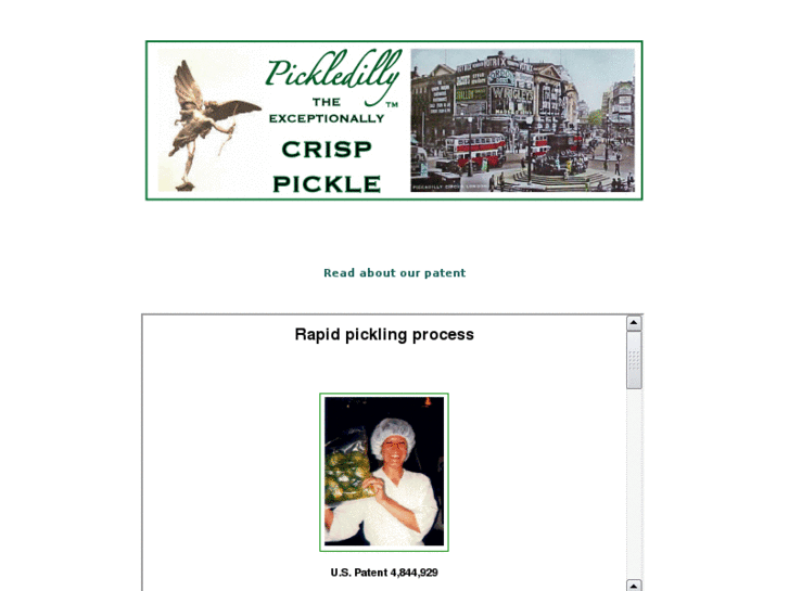 www.pickledilly.com