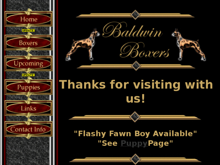 www.baldwinboxers.com