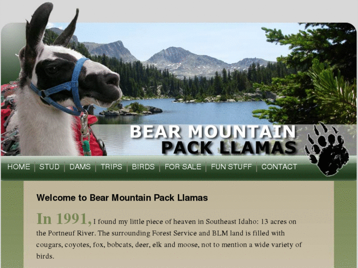 www.bearmountainpackllamas.com