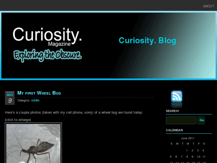 www.curiosity-magazine.com