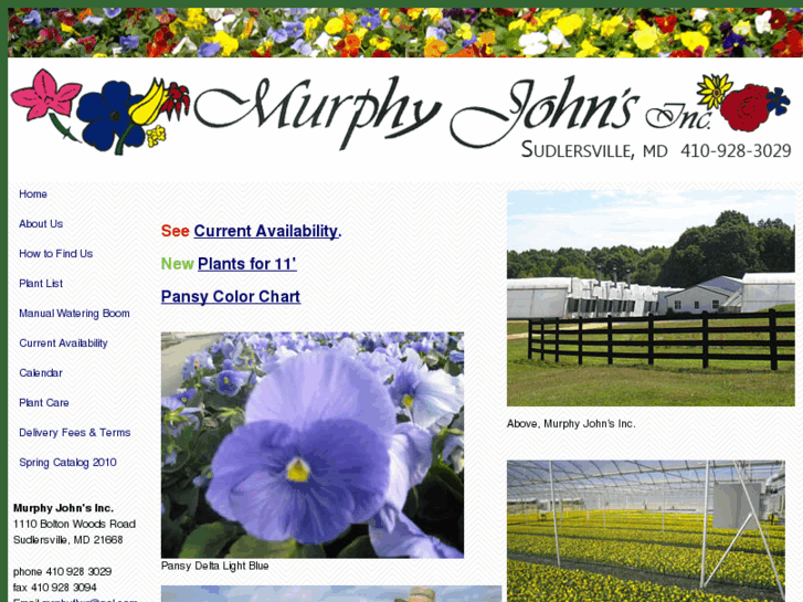 www.murphyflower.com