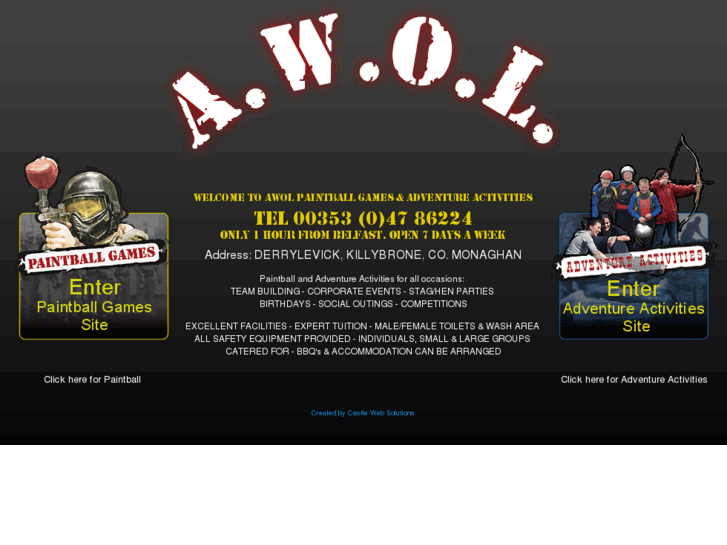 www.awolpaintball.ie