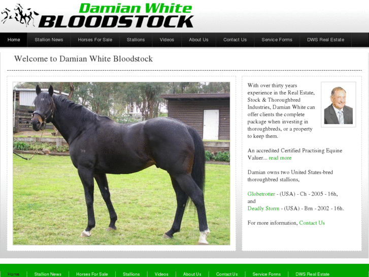 www.damianwhitebloodstock.com