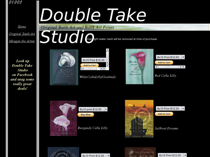 www.doubletakestudio.net