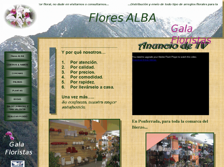 www.floresalba.com