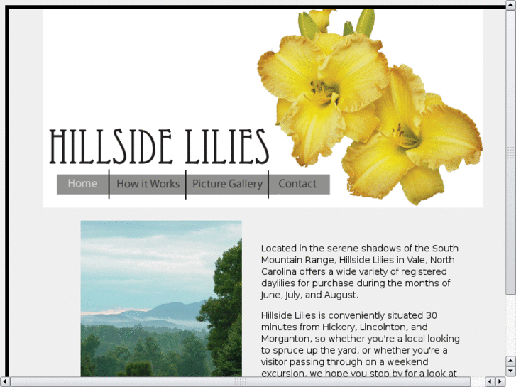 www.hillsidelilies.com