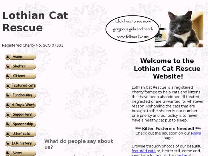 www.lothiancatrescue.org