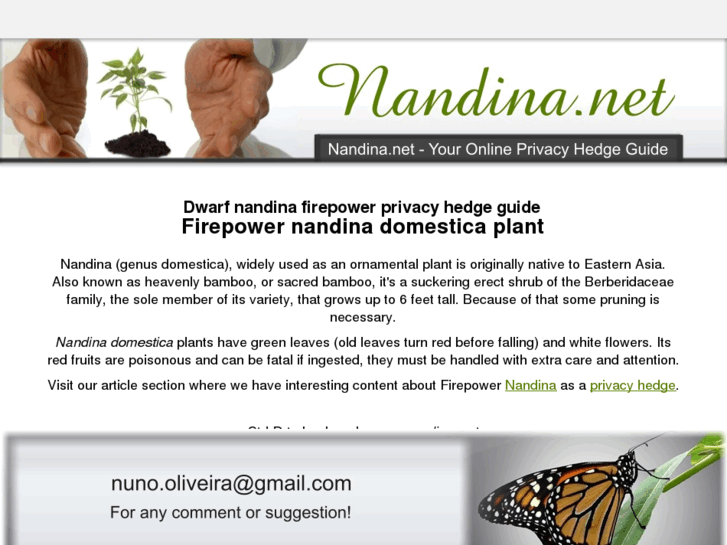 www.nandina.net