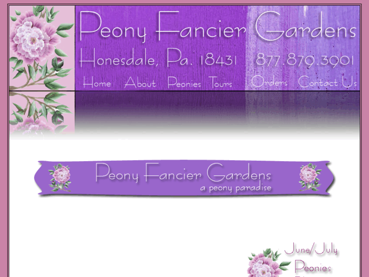 www.peonyfancier.com