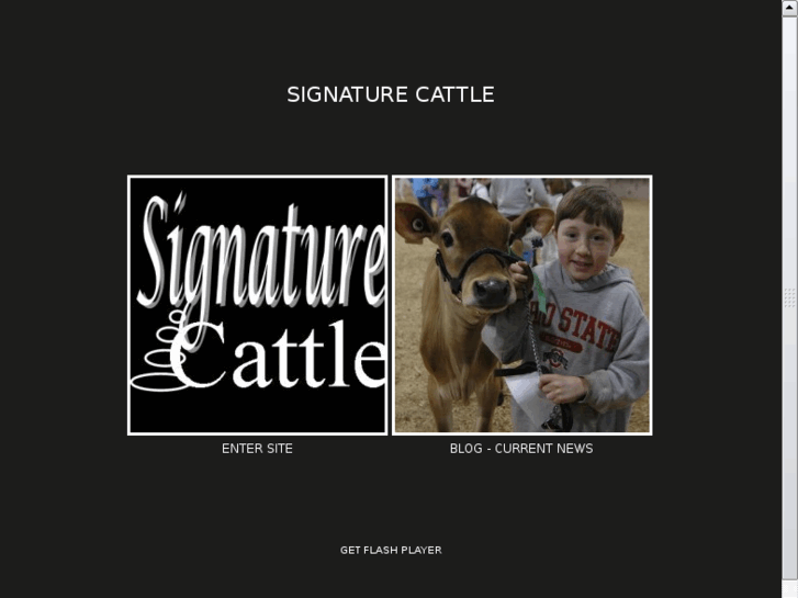 www.signaturecattle.com