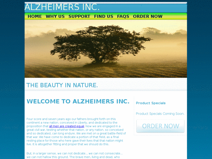 www.alzheimersinc.com