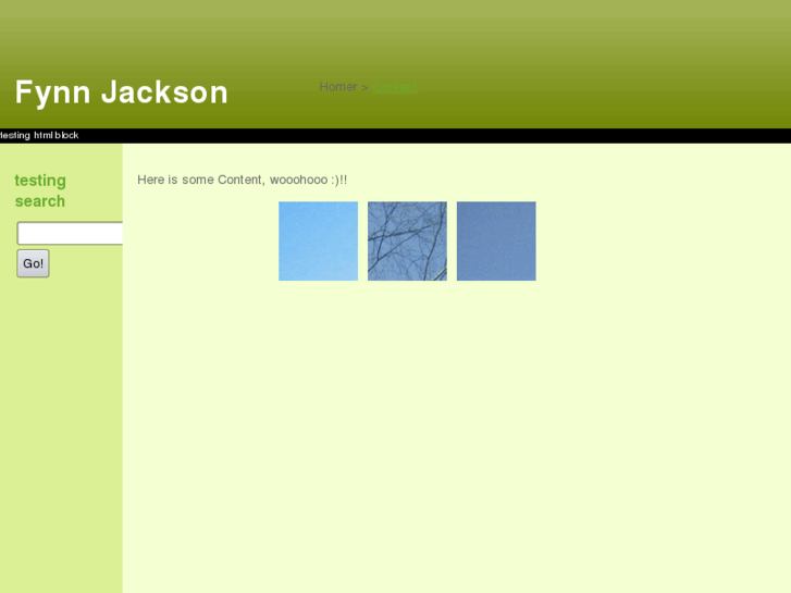 www.fynnjackson.com