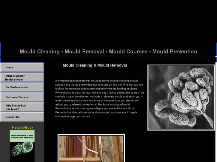 www.mouldcleaning.com