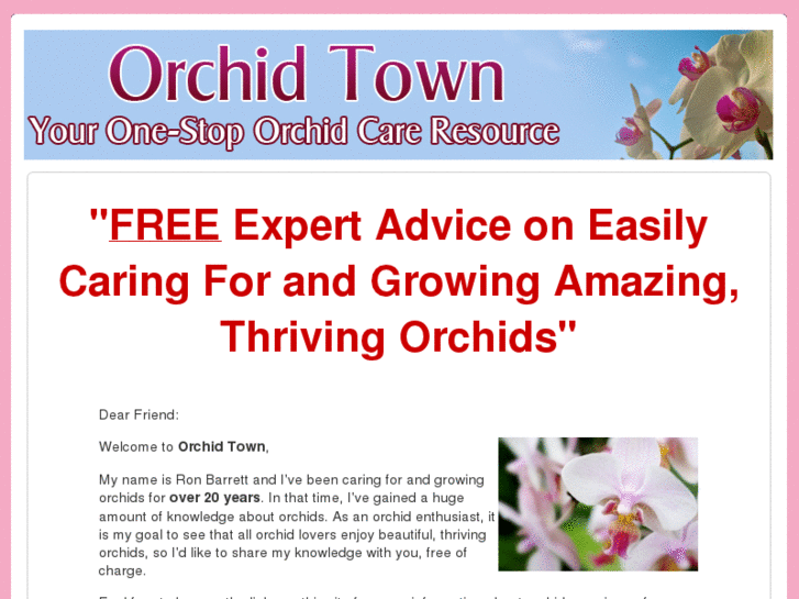 www.orchidtown.com