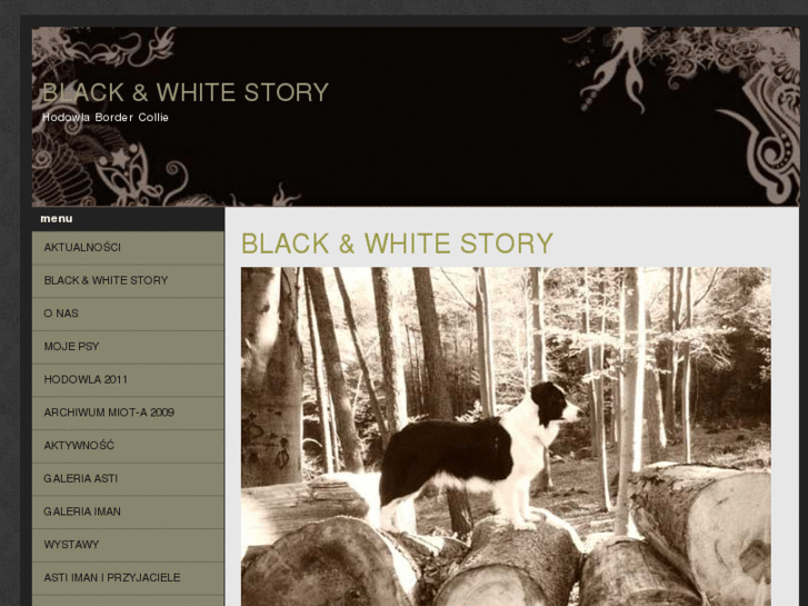 www.blackwhitestory.eu