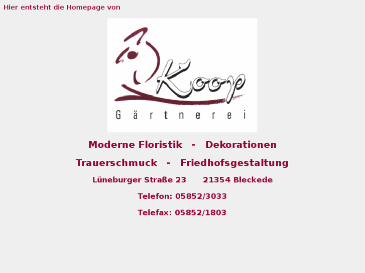 www.blumen-koop.de