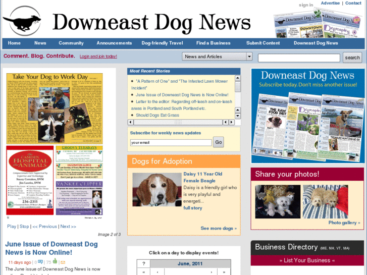 www.dognewsisgoodnews.com