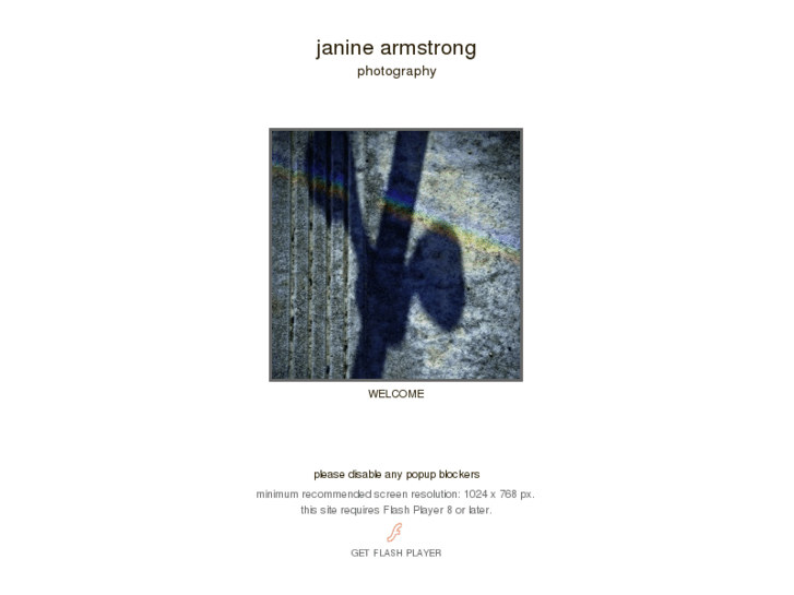 www.janinearmstrong.com