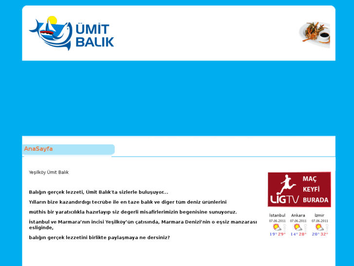 www.umitbalik.com