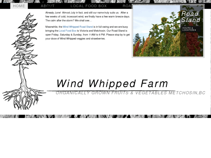 www.windwhippedfarm.com