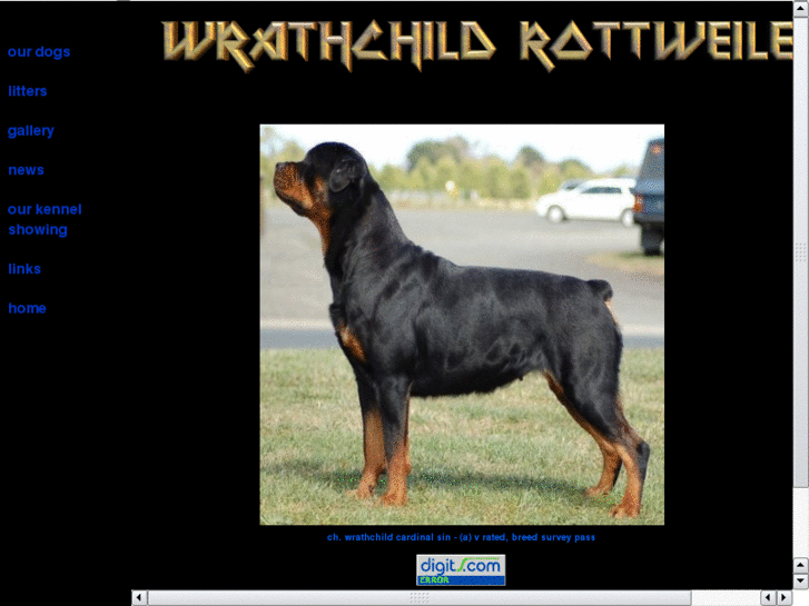 www.wrathchild-rottweilers.com