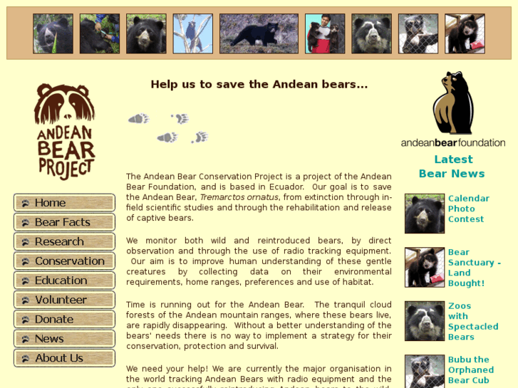 www.andeanbear.org