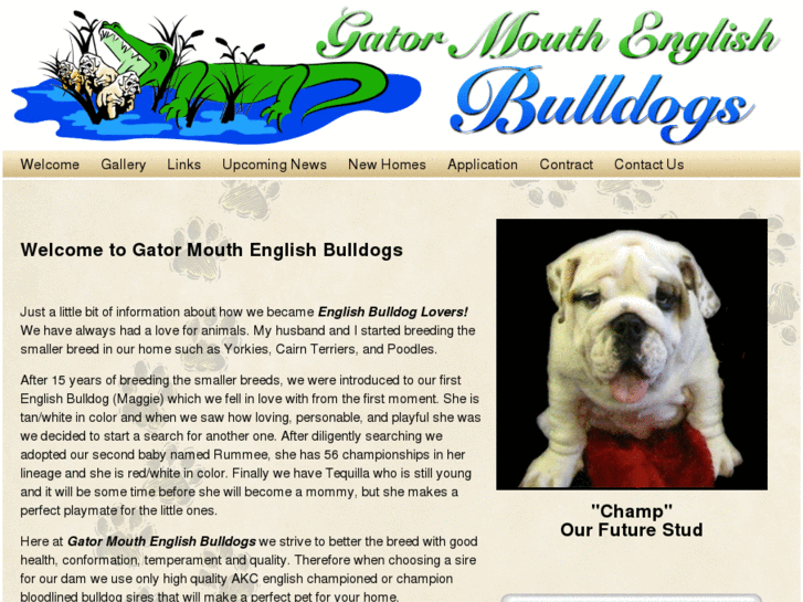 www.gatormouthenglishbulldog.com