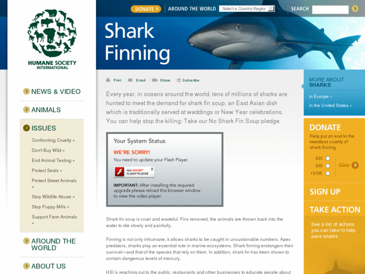 www.stopfinning.com