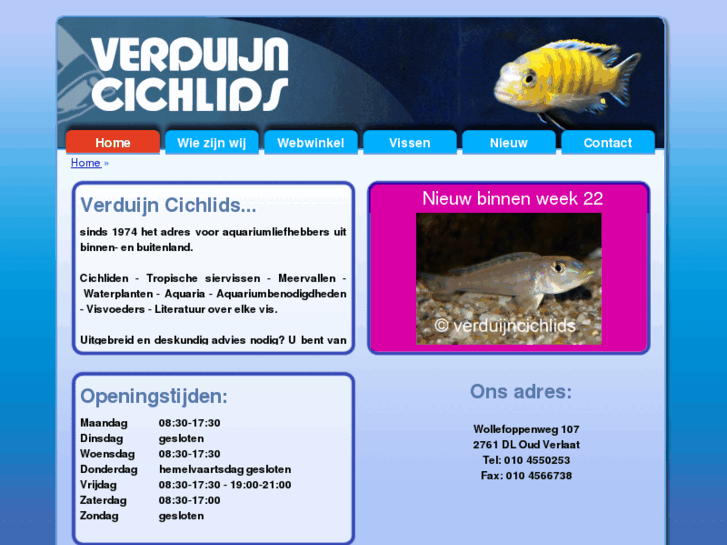 www.verduijncichlids.com