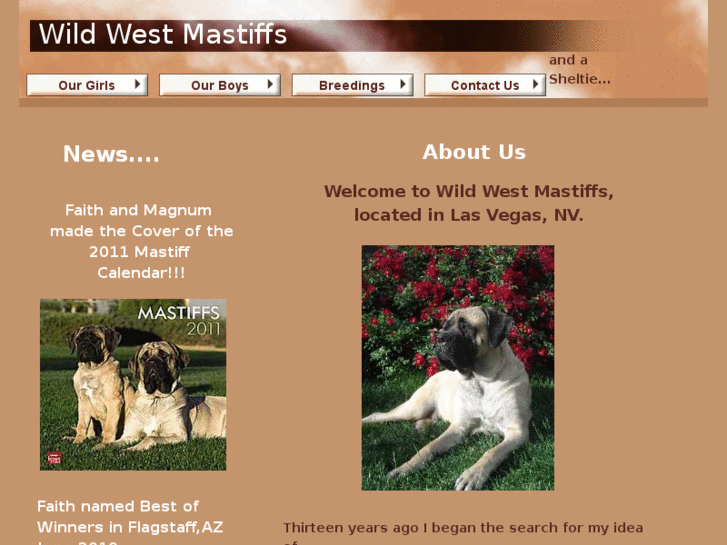 www.wildwestmastiffs.com