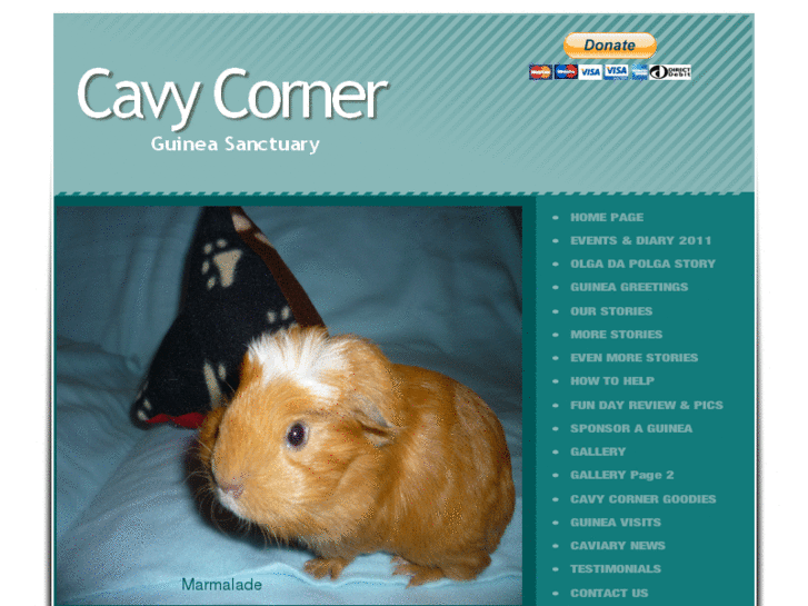 www.cavycorner.org