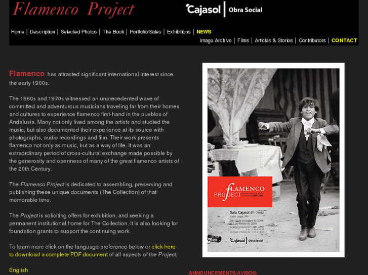 www.flamencoproject.com