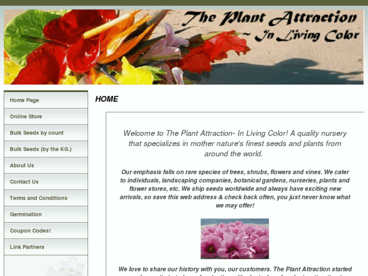 www.theplantattraction.com