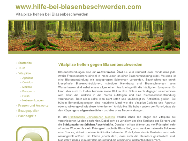 www.hilfe-bei-blasenbeschwerden.com