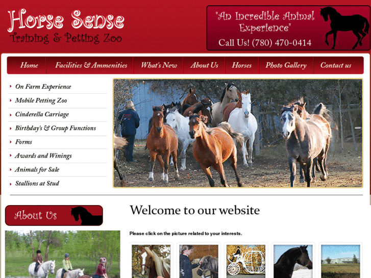 www.horsesensezoo.com